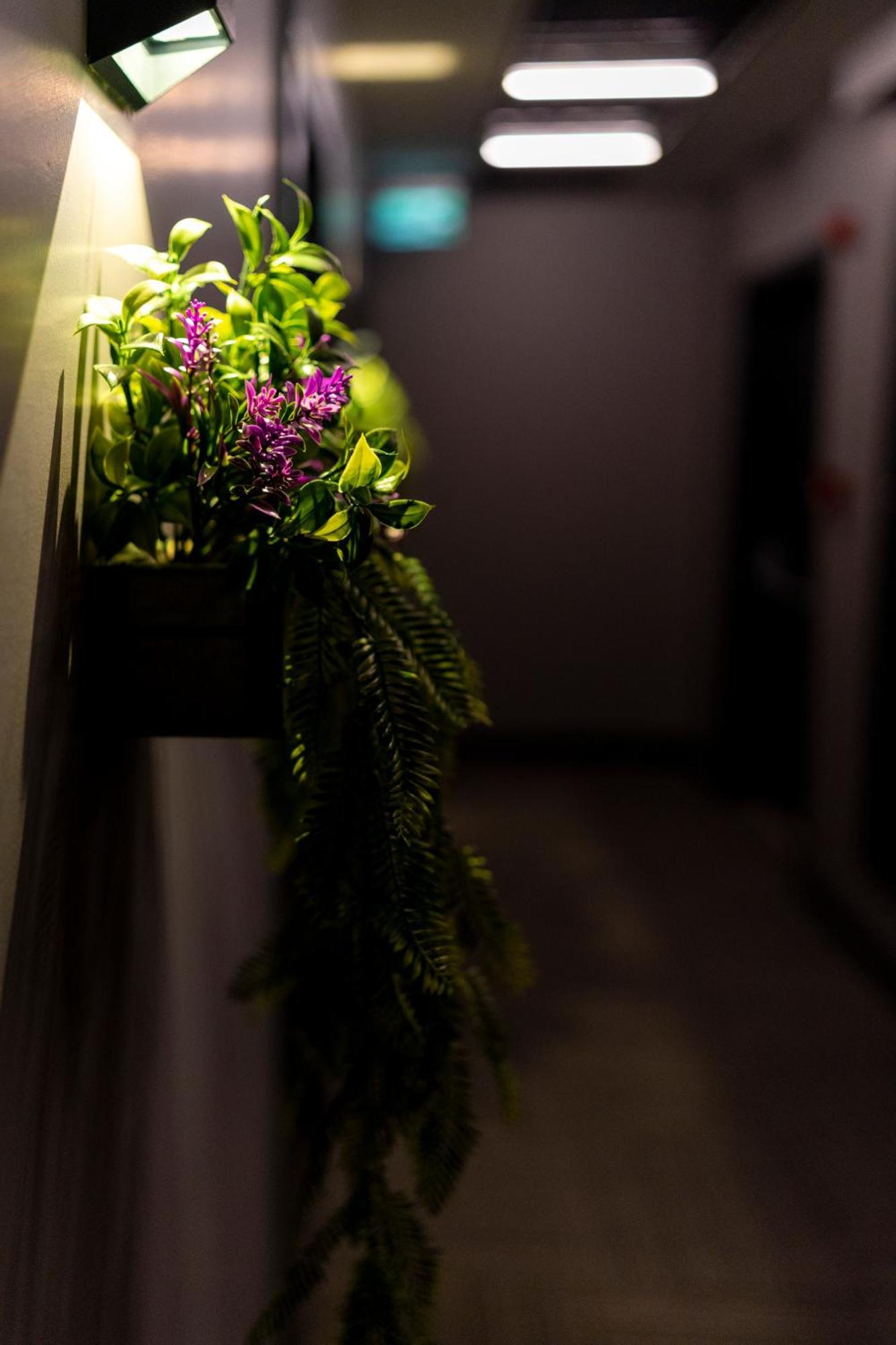 Brandroom Hotel Istambul Extérieur photo